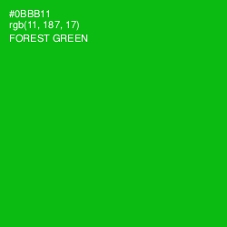 #0BBB11 - Forest Green Color Image