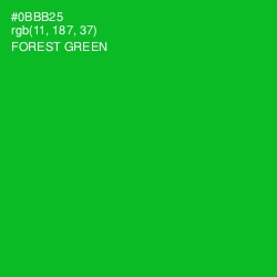 #0BBB25 - Forest Green Color Image