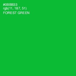#0BBB33 - Forest Green Color Image