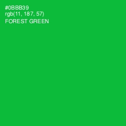#0BBB39 - Forest Green Color Image