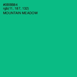 #0BBB84 - Mountain Meadow Color Image