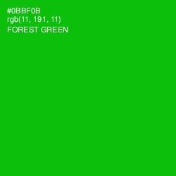 #0BBF0B - Forest Green Color Image