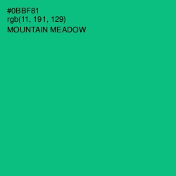 #0BBF81 - Mountain Meadow Color Image