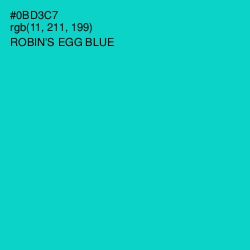 #0BD3C7 - Robin's Egg Blue Color Image