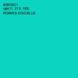 #0BD5C1 - Robin's Egg Blue Color Image