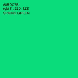 #0BDC7B - Spring Green Color Image