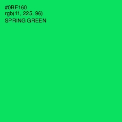 #0BE160 - Spring Green Color Image