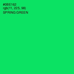 #0BE162 - Spring Green Color Image