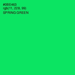 #0BE463 - Spring Green Color Image