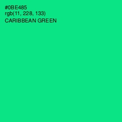 #0BE485 - Caribbean Green Color Image