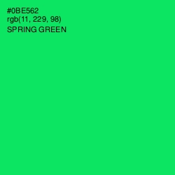 #0BE562 - Spring Green Color Image