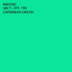 #0BE59C - Caribbean Green Color Image