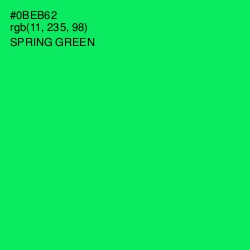 #0BEB62 - Spring Green Color Image