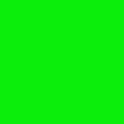 #0BED0B - Green Color Image