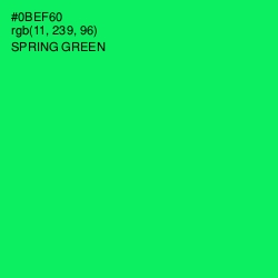 #0BEF60 - Spring Green Color Image