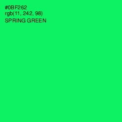 #0BF262 - Spring Green Color Image