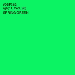 #0BF362 - Spring Green Color Image