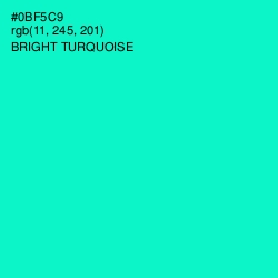 #0BF5C9 - Bright Turquoise Color Image