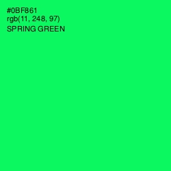 #0BF861 - Spring Green Color Image