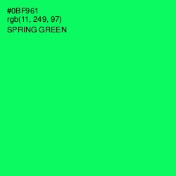 #0BF961 - Spring Green Color Image