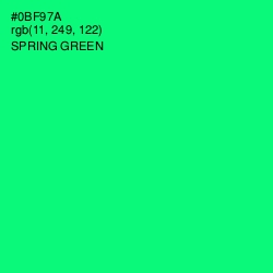 #0BF97A - Spring Green Color Image