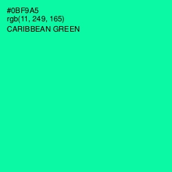 #0BF9A5 - Caribbean Green Color Image