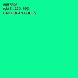 #0BFA96 - Caribbean Green Color Image