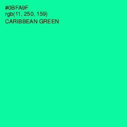 #0BFA9F - Caribbean Green Color Image