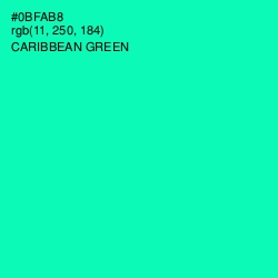 #0BFAB8 - Caribbean Green Color Image