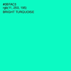 #0BFAC3 - Bright Turquoise Color Image