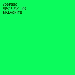 #0BFB5C - Malachite Color Image