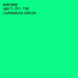 #0BFB88 - Caribbean Green Color Image