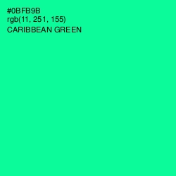 #0BFB9B - Caribbean Green Color Image