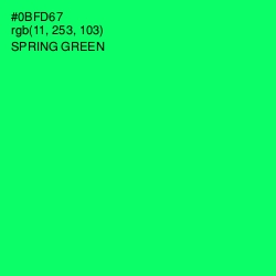 #0BFD67 - Spring Green Color Image