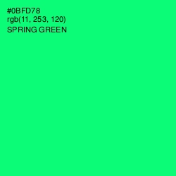 #0BFD78 - Spring Green Color Image