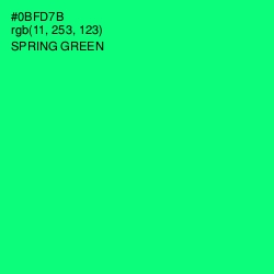 #0BFD7B - Spring Green Color Image