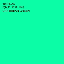 #0BFDA5 - Caribbean Green Color Image