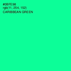 #0BFE98 - Caribbean Green Color Image