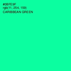 #0BFE9F - Caribbean Green Color Image