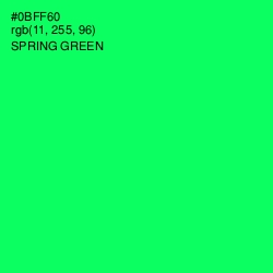 #0BFF60 - Spring Green Color Image