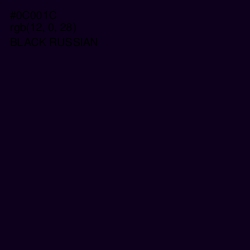 #0C001C - Black Russian Color Image