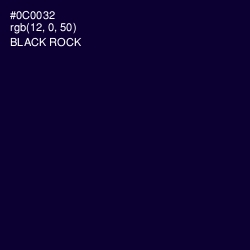 #0C0032 - Black Rock Color Image