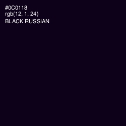 #0C0118 - Black Russian Color Image