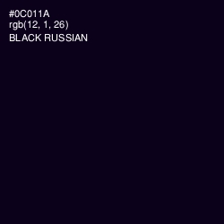 #0C011A - Black Russian Color Image