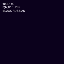 #0C011C - Black Russian Color Image