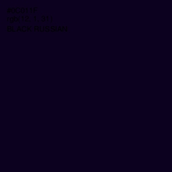 #0C011F - Black Russian Color Image