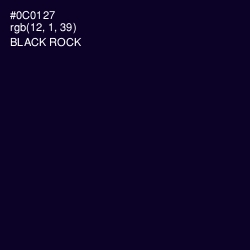 #0C0127 - Black Rock Color Image