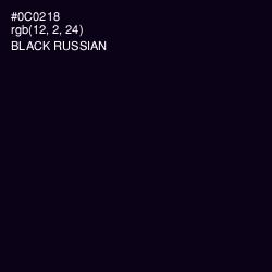 #0C0218 - Black Russian Color Image