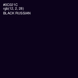 #0C021C - Black Russian Color Image