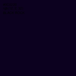 #0C0220 - Black Rock Color Image